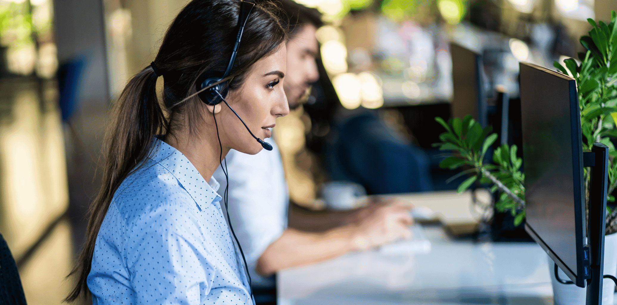 masterlys help answer