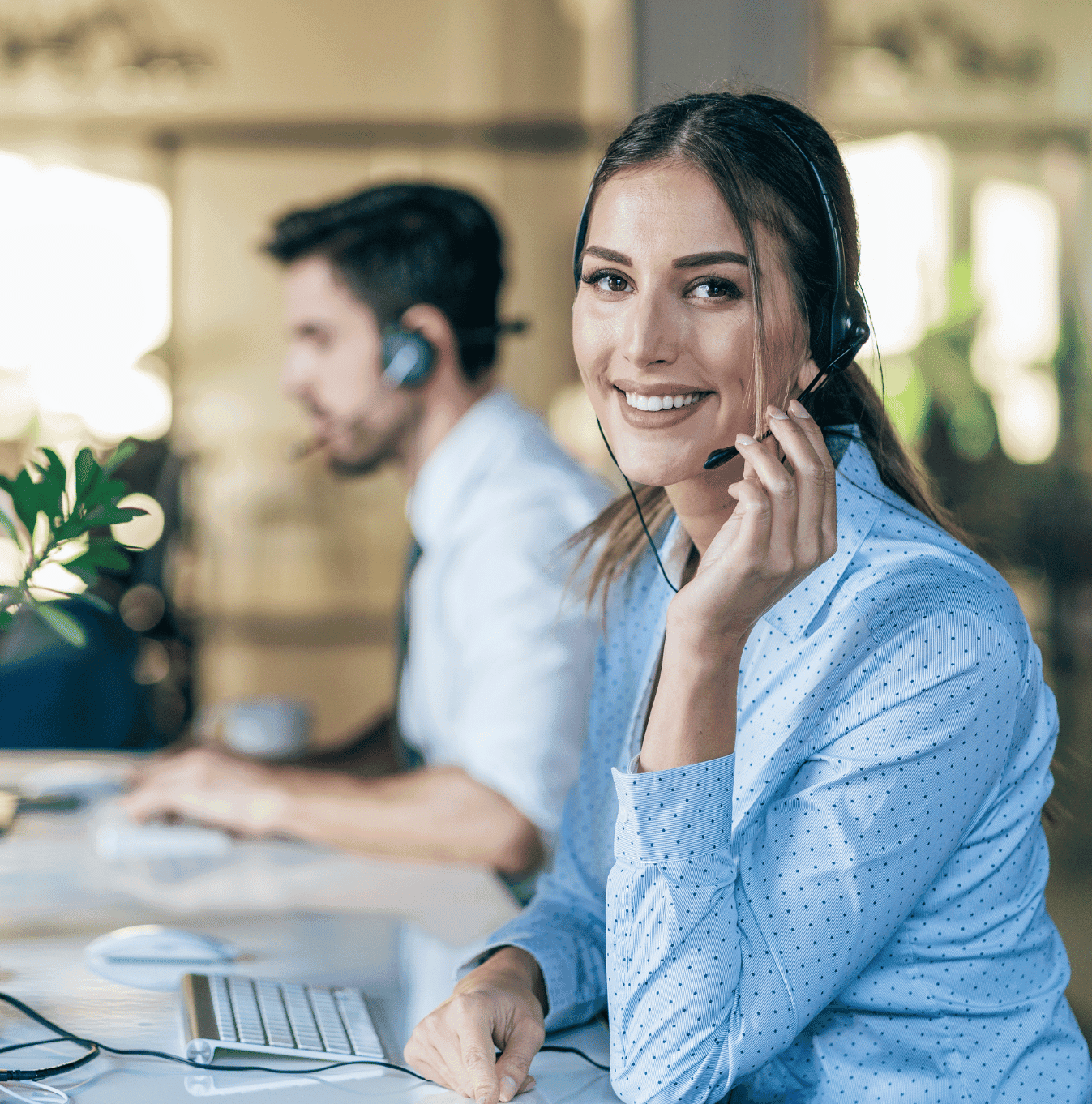 masterlys help banner2