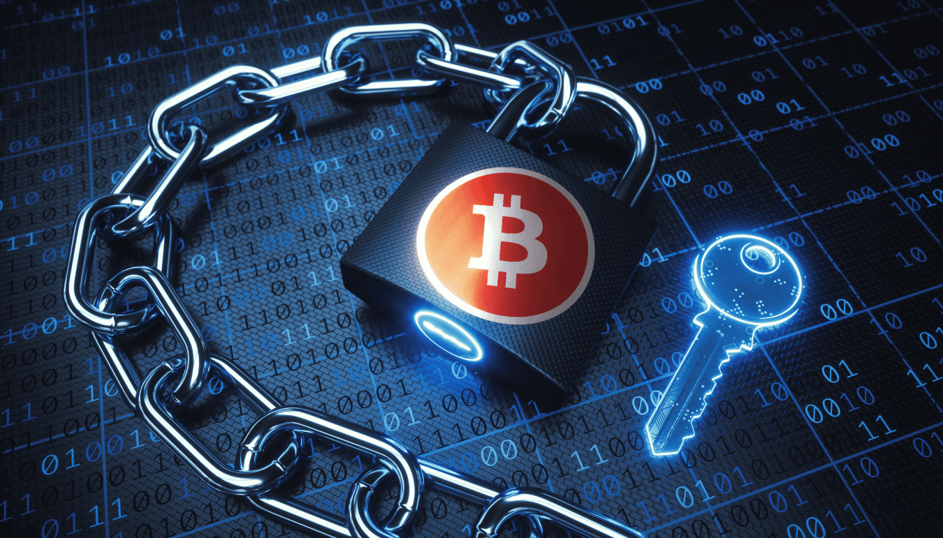 Quelle est la Blockchain la plus utilisée par les NFT ? Une analyse approfondie