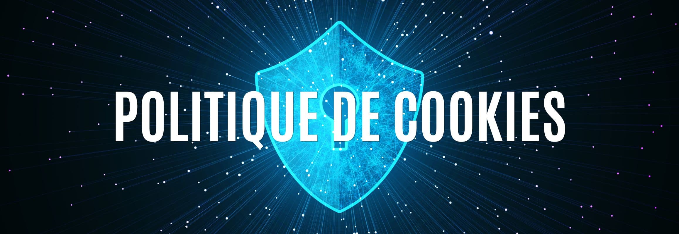 masterlys politique de cookies image